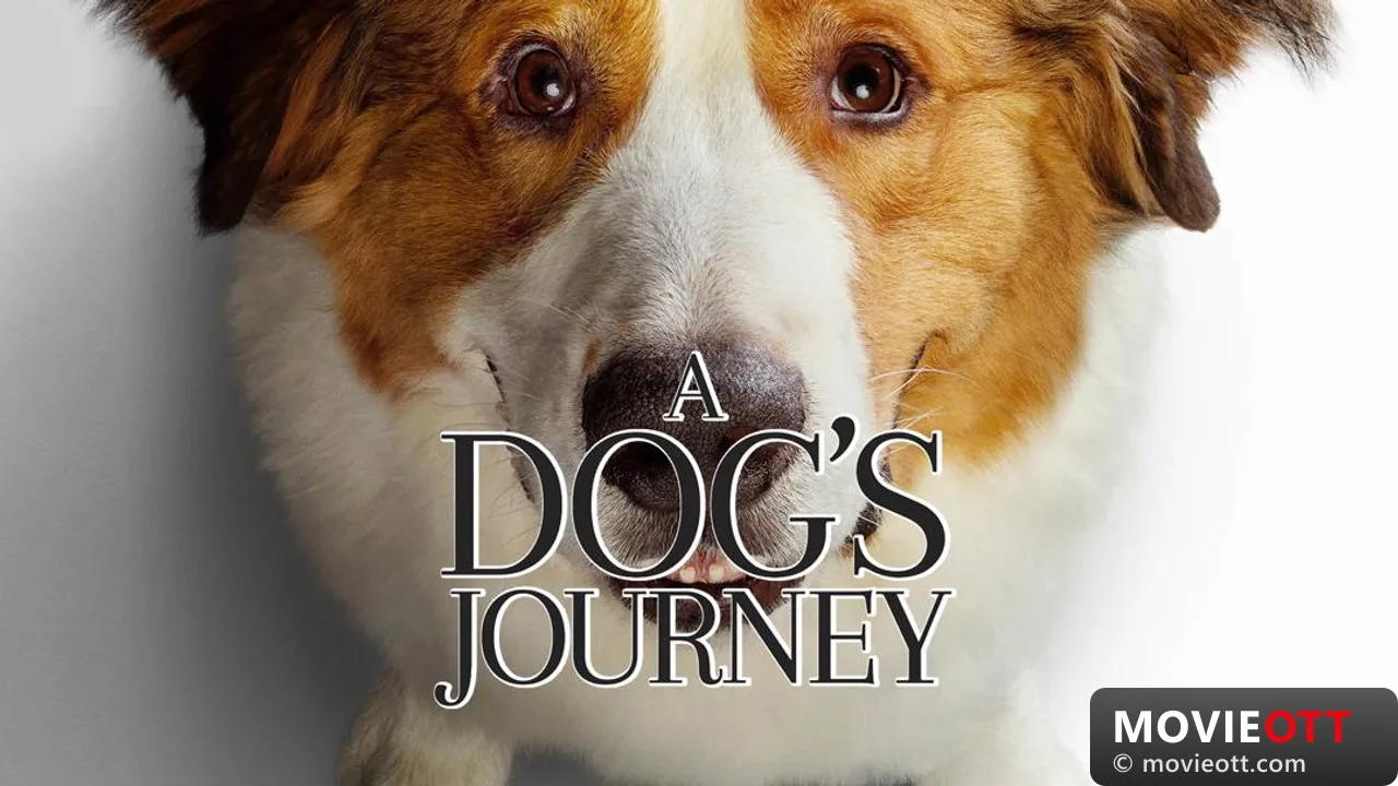 A Dog's Journey: A Heartwarming Tale of Loyalty and Love