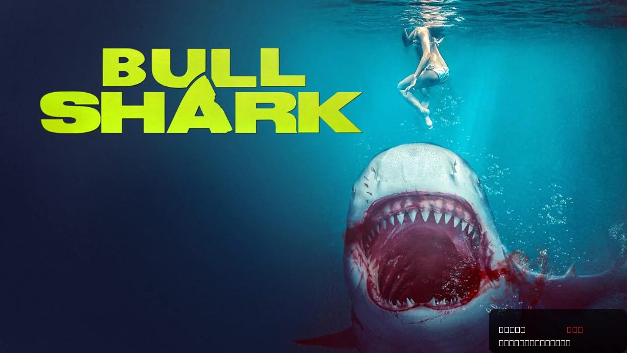 Bull Shark