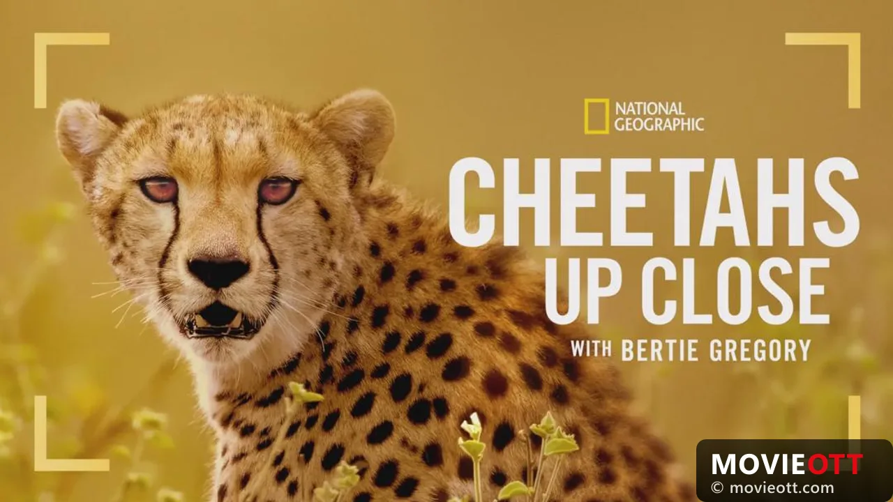 Cheetahs Up Close with Bertie Gregory