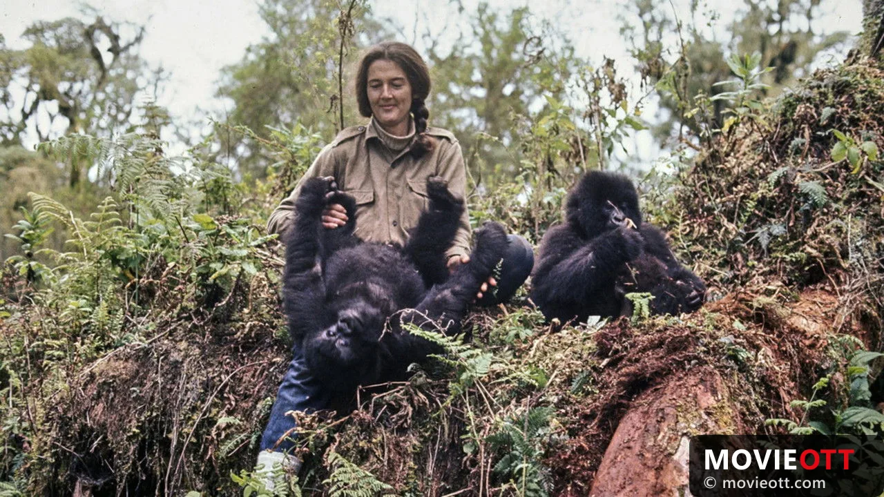 Dian Fossey: Ihr Leben für die Gorillas trailer thumbnail
