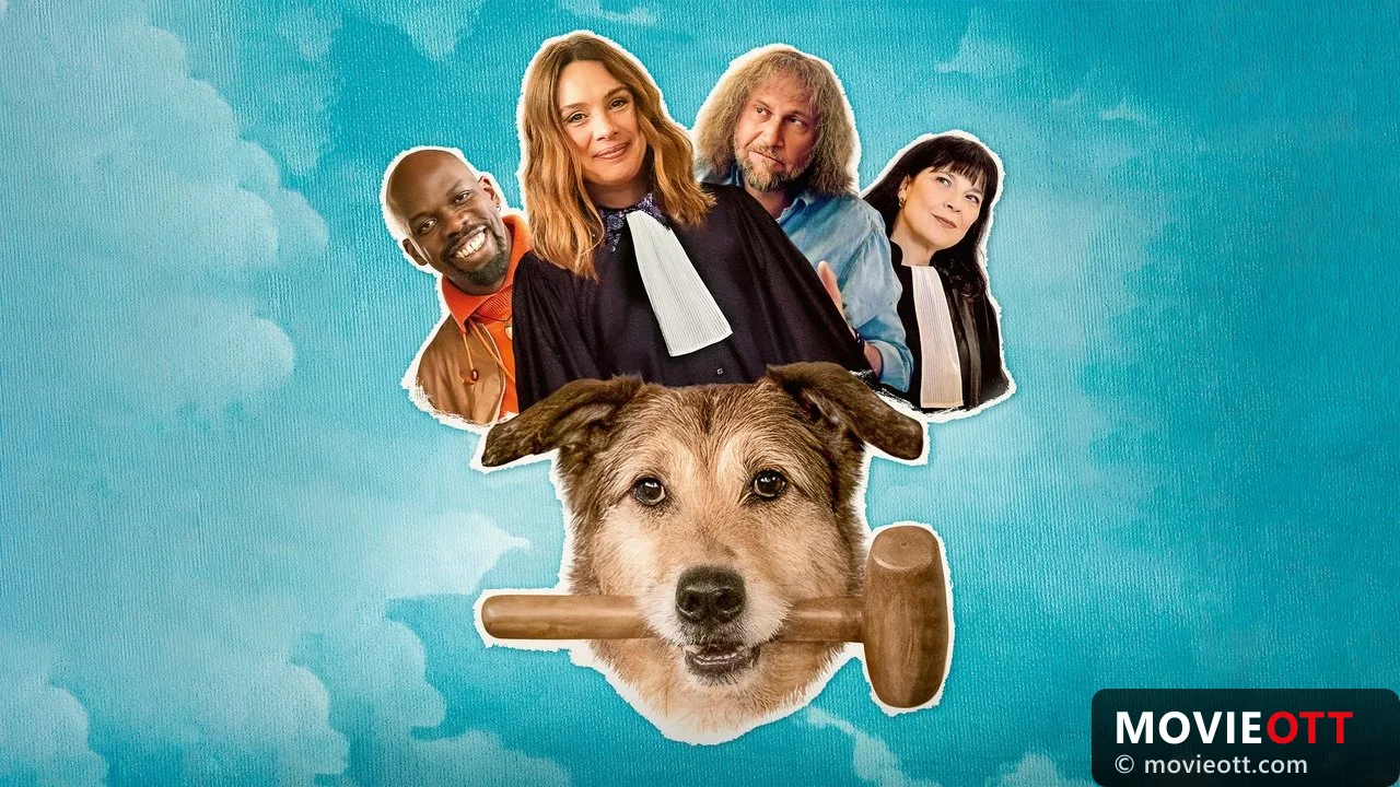 Dog on Trial