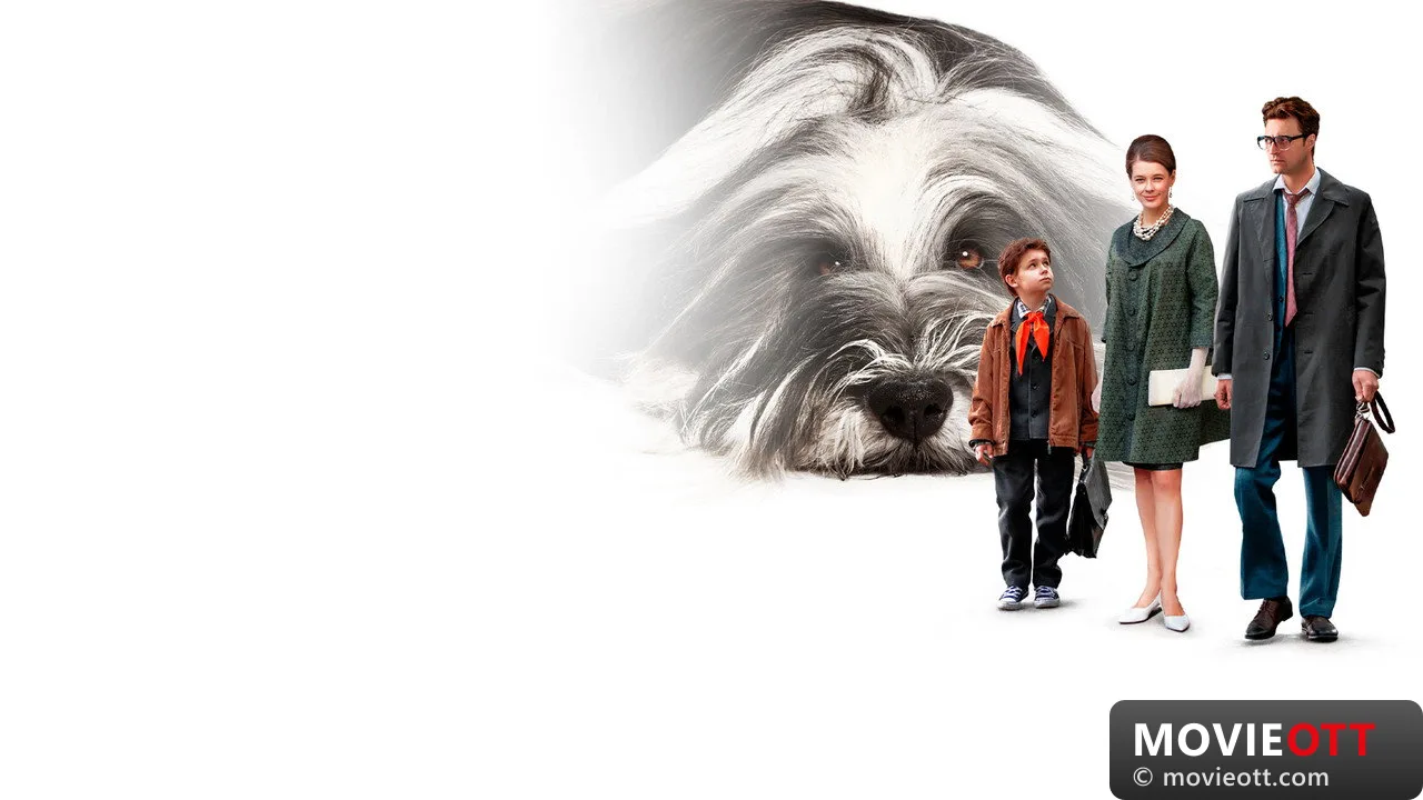 Everyone Dreams of a Dog