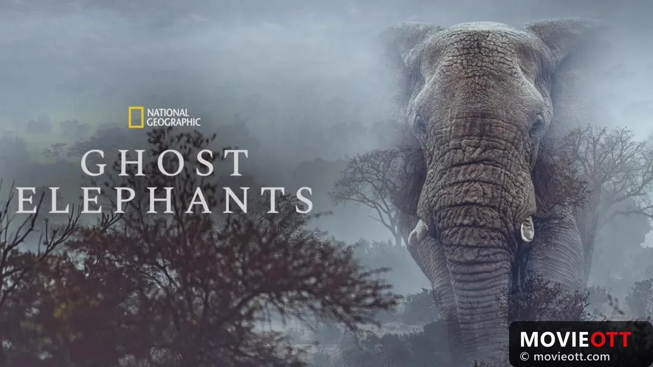 Ghost Elephants