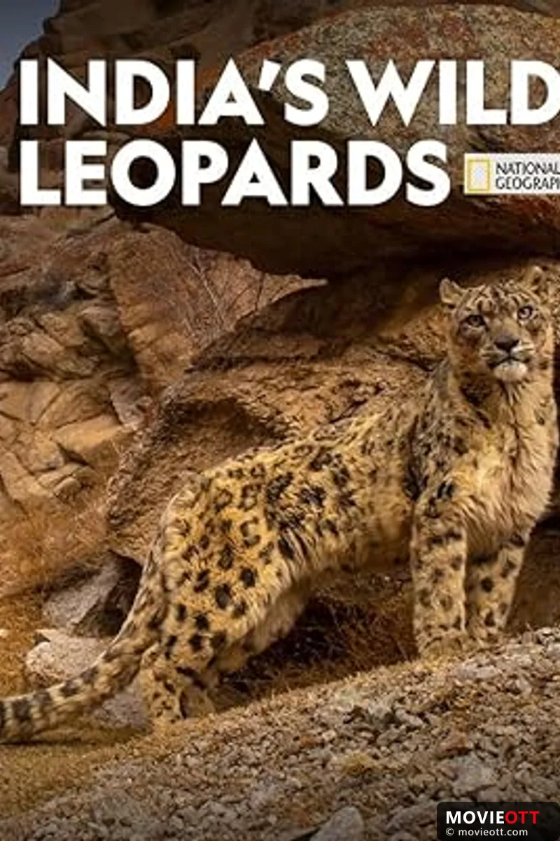 India's Wild Leopards: A Journey into Urban Wilderness