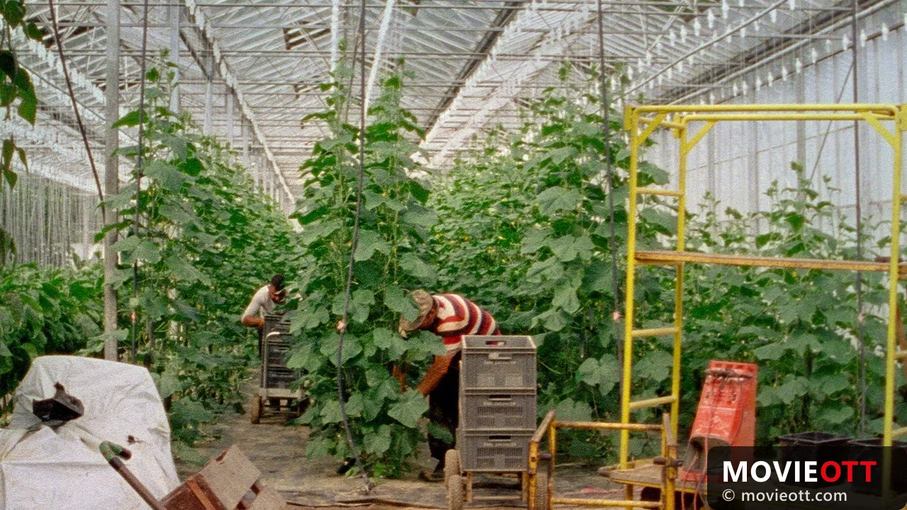 Les Habitants: A Groundbreaking Documentary Experience