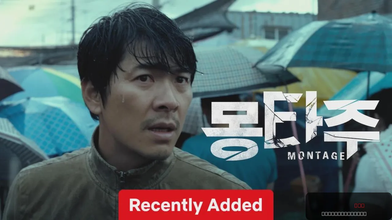 Montage: A Gripping South Korean Crime Thriller