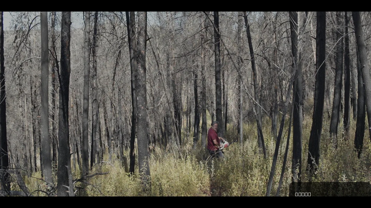 Pines trailer thumbnail