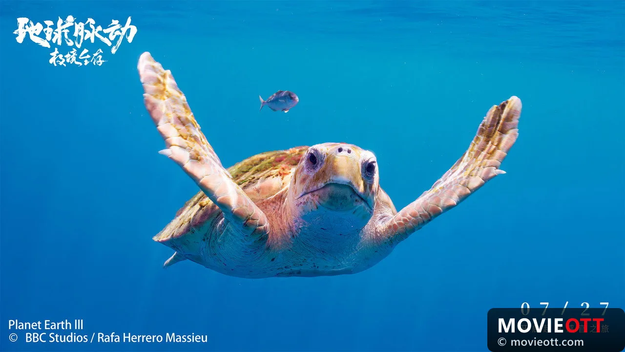 Planet Earth: Hostile Paradise or Perfect Hell?