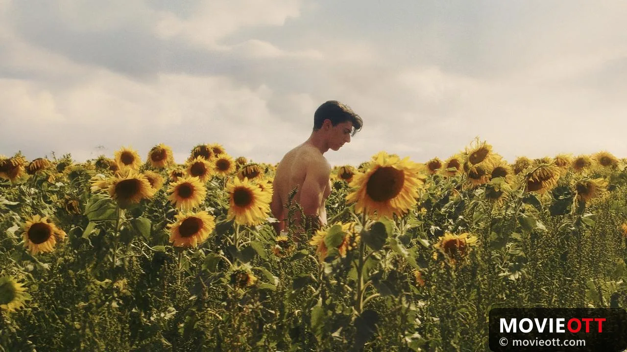 Sunflower trailer thumbnail