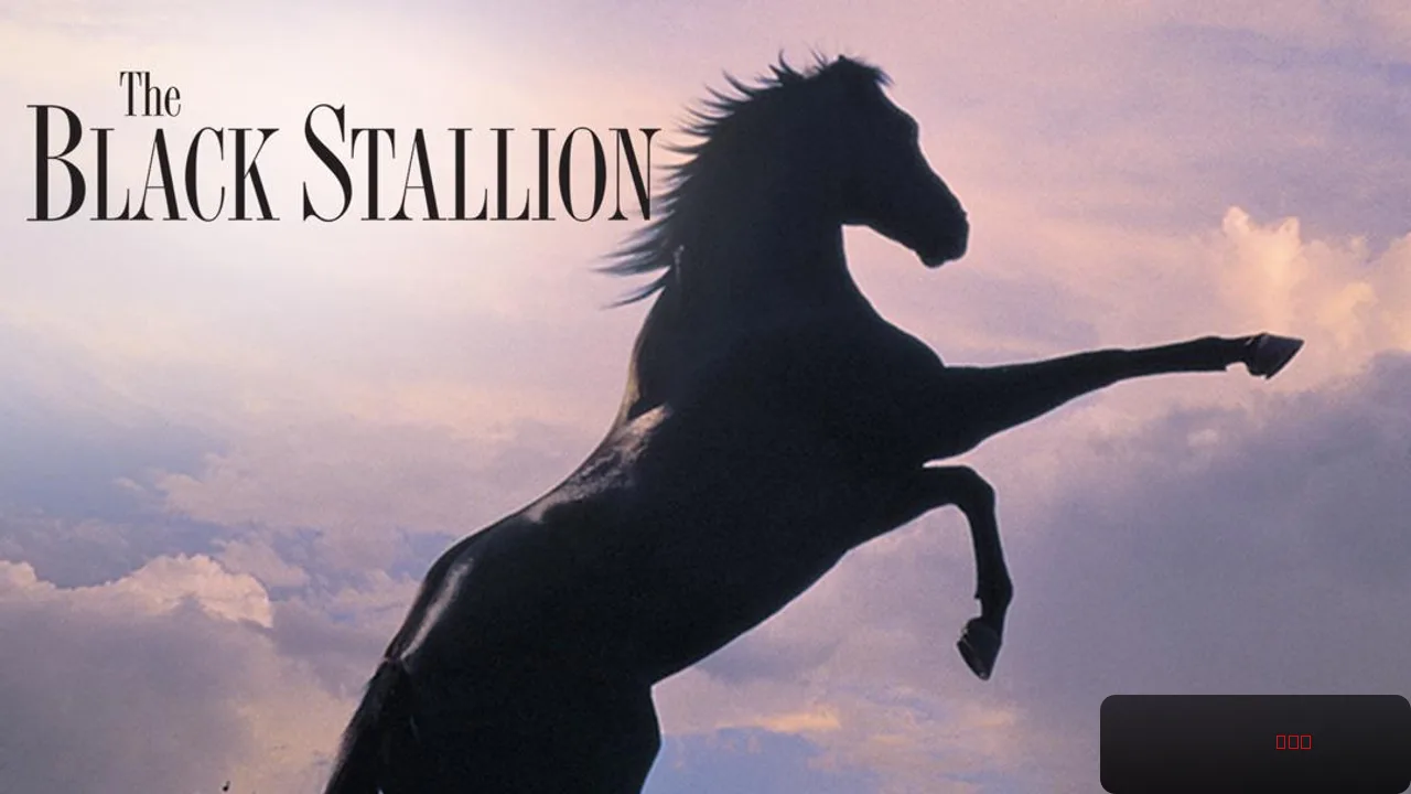 The Black Stallion