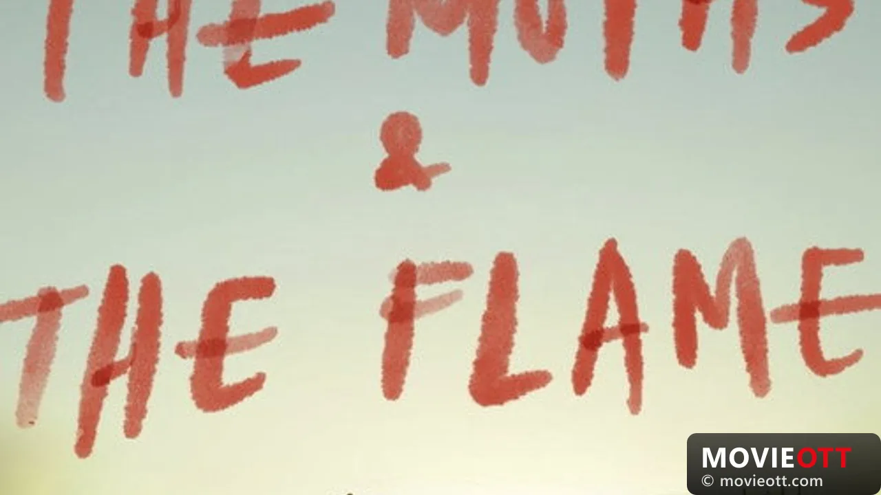 The Moths & the Flame