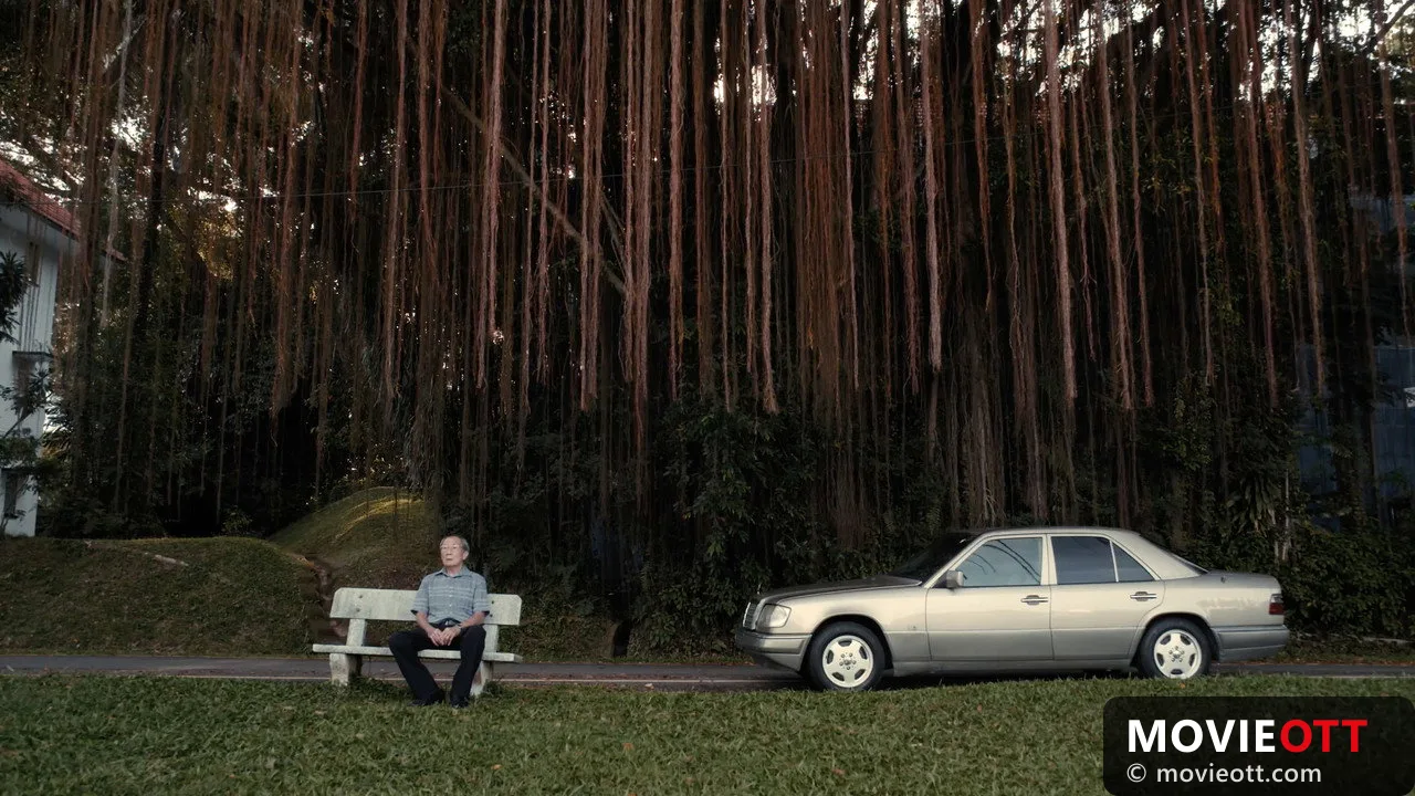 The Old Man and His Car