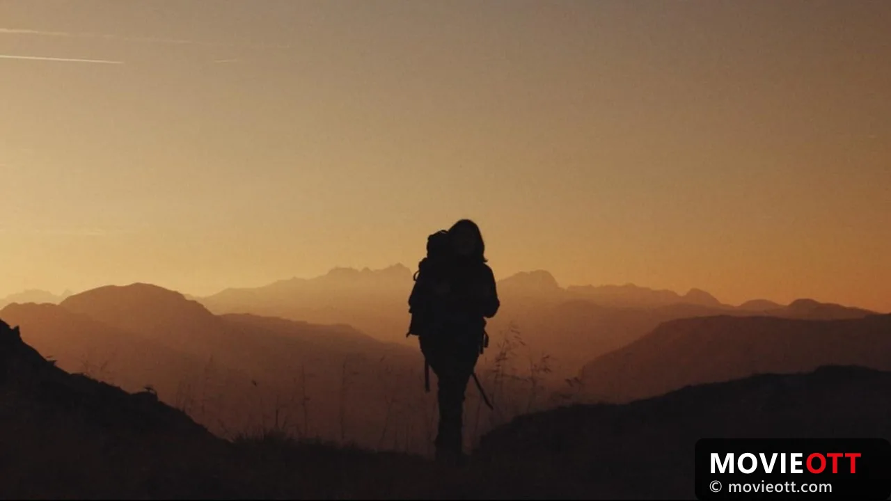 The Trail