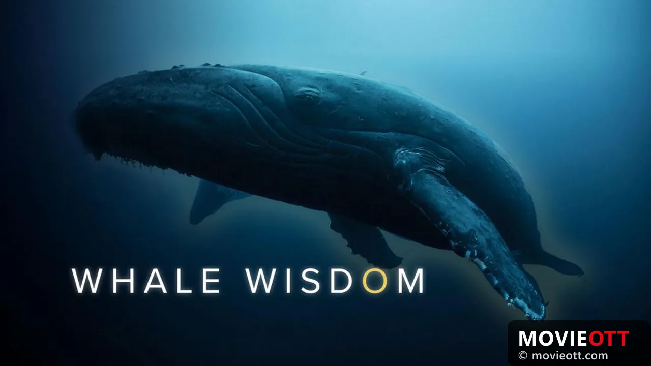 Whale Wisdom