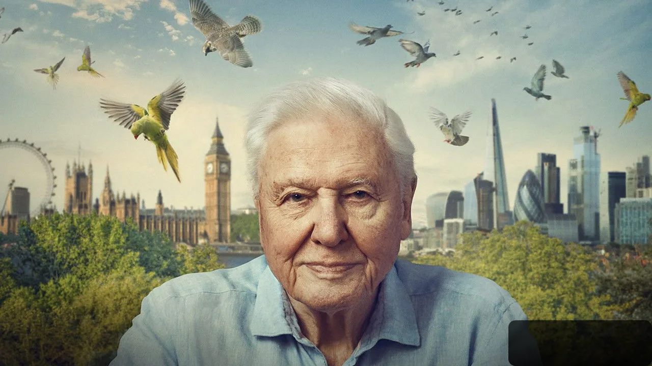 Wild London trailer thumbnail