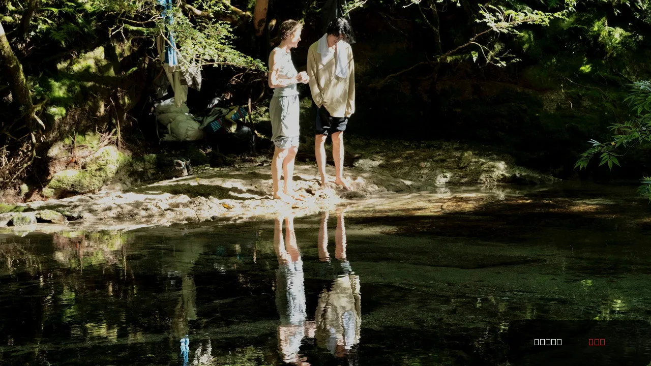 Yakushima's Illusion